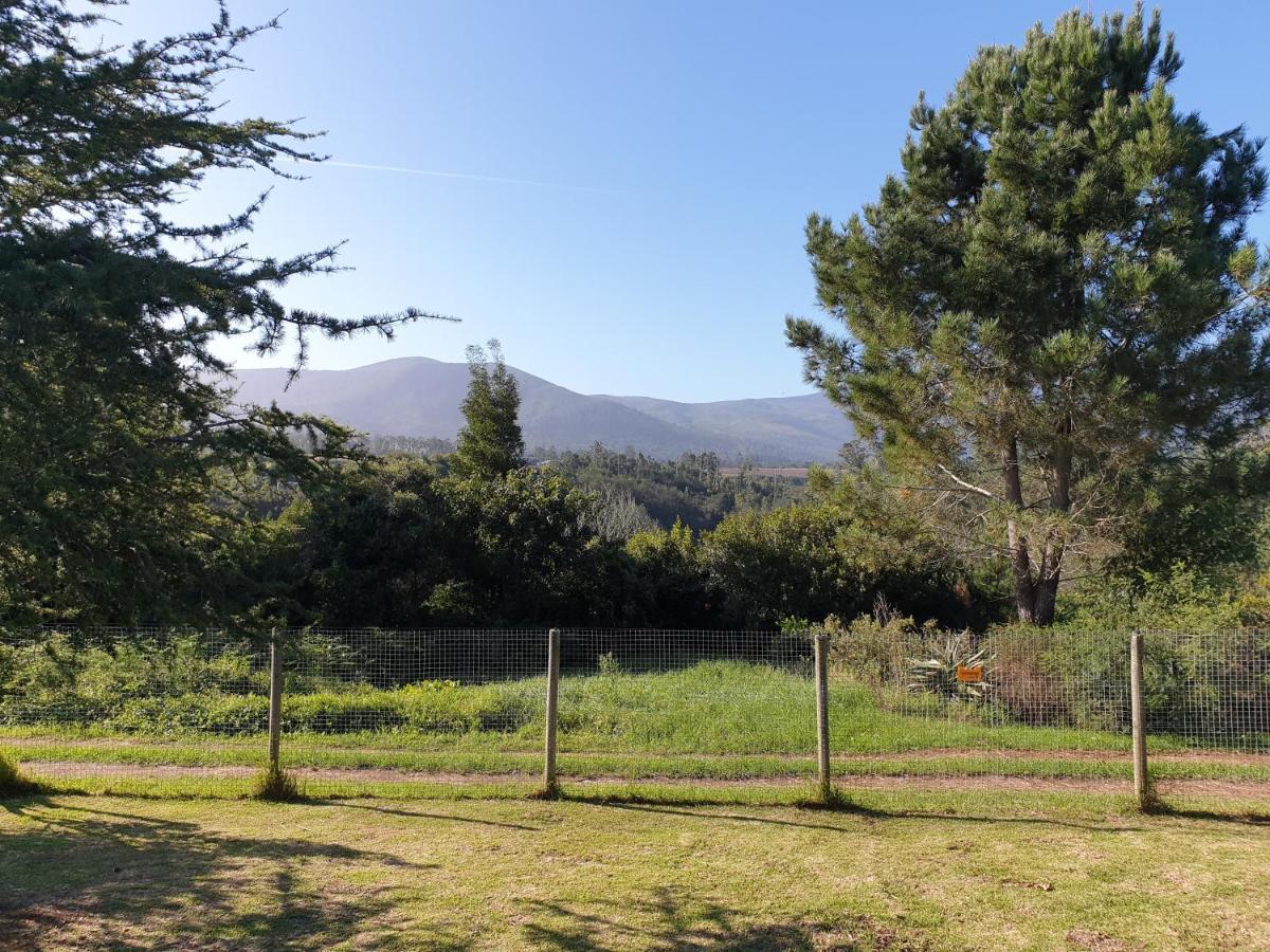 Elephant Country Guest House The Crags Exteriör bild